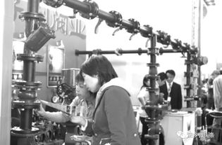 都來(lái)看看 龐各莊這些年的產(chǎn)業(yè)提升有多強(qiáng)