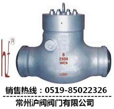 止回閥圖片|止回閥樣板圖|電站止回閥廠家-常州滬閥閥門(mén)